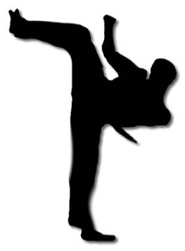 Boy Practicing Karate Kick Si