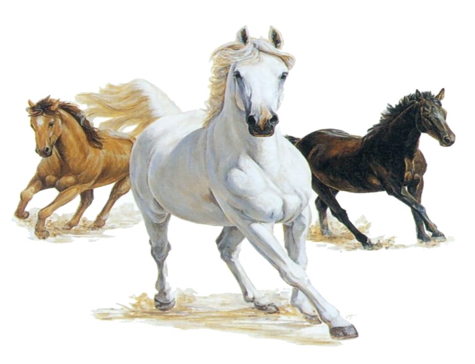 Free Large File Clipart - Horses Clipart