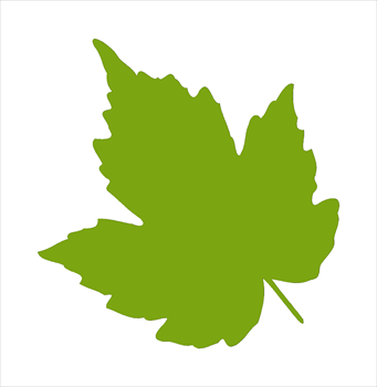 Free Leaf Clipart. feuille04s - Clip Art Of Leaves