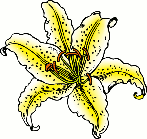 Free Lily Clipart - Lily Clip Art