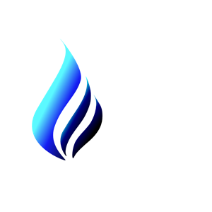 Vector Company Business Logo 