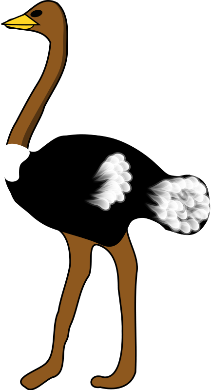 Ostrich Black And White Clipa