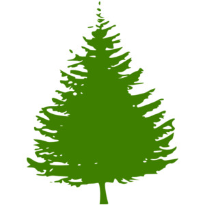 free pine tree clip art .