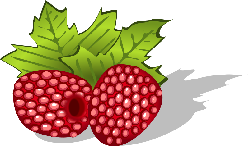 Free Raspberries Clip Art u0026middot; raspberries