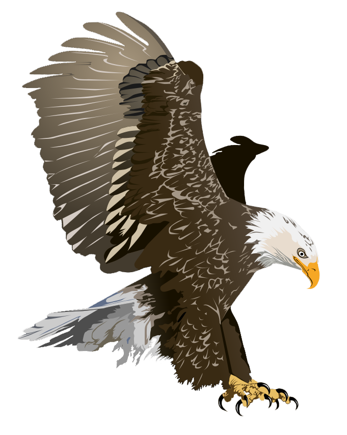 Free Realistic Bald Eagle Cli - Eagle Images Clip Art