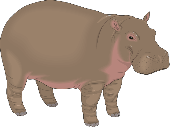 Free Realistic Hippopotamus C - Clip Art Hippo