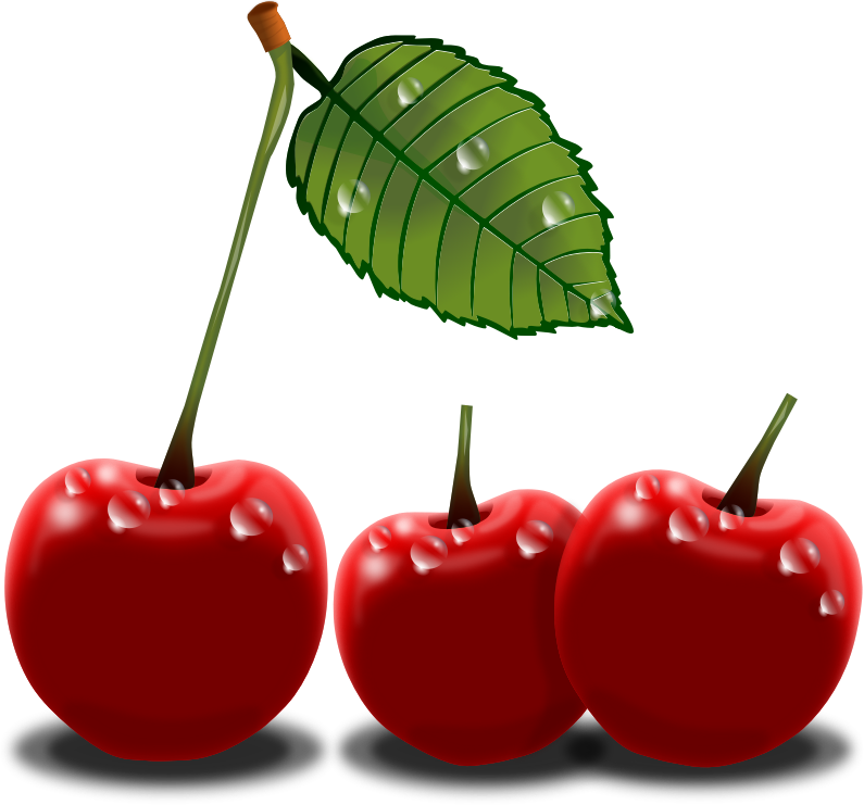 cherry clipart black and whit