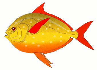 Free Red Finned Fish Clipart  - Fish Clipart Free