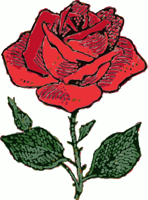 Rose Clipart · wrinkle% .