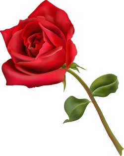 Free Rose Clipart - ClipArt Best ...