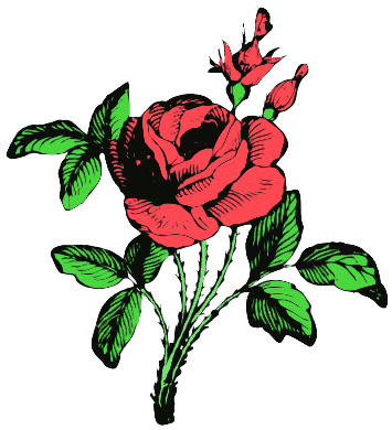 Free Red Rose Clip Art 1