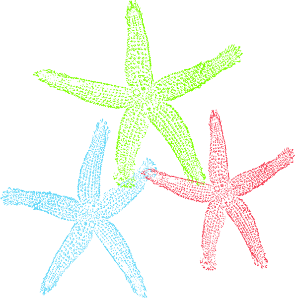 Free Set of Three Colorful Starfish Clip Art