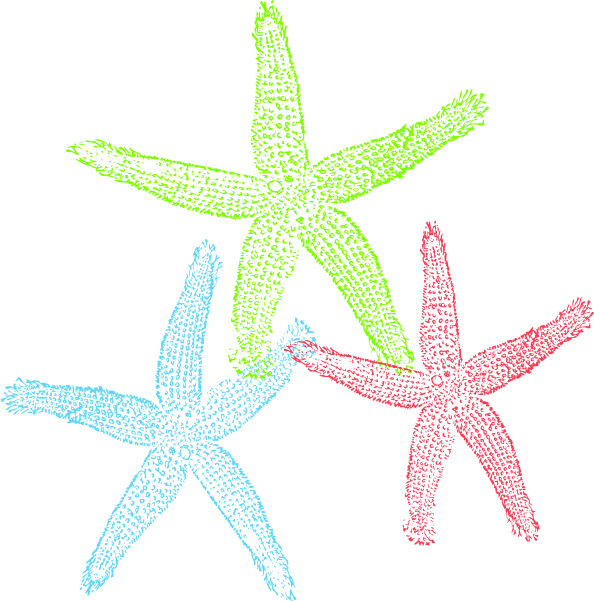 Free Set of Three Colorful St - Starfish Clipart Free