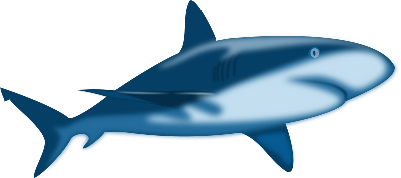 Free Shark Clipart - Clipart library