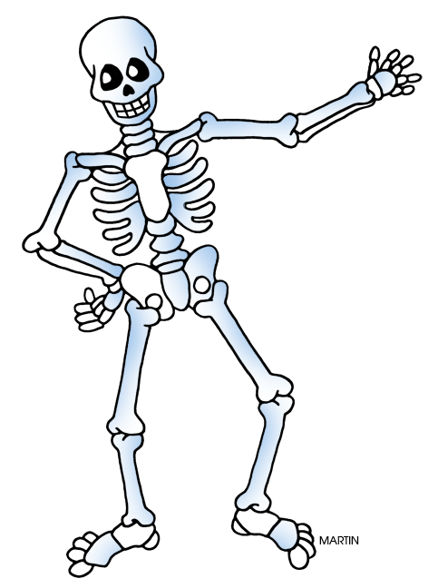 Free skeleton clipart public  - Clip Art Skeleton