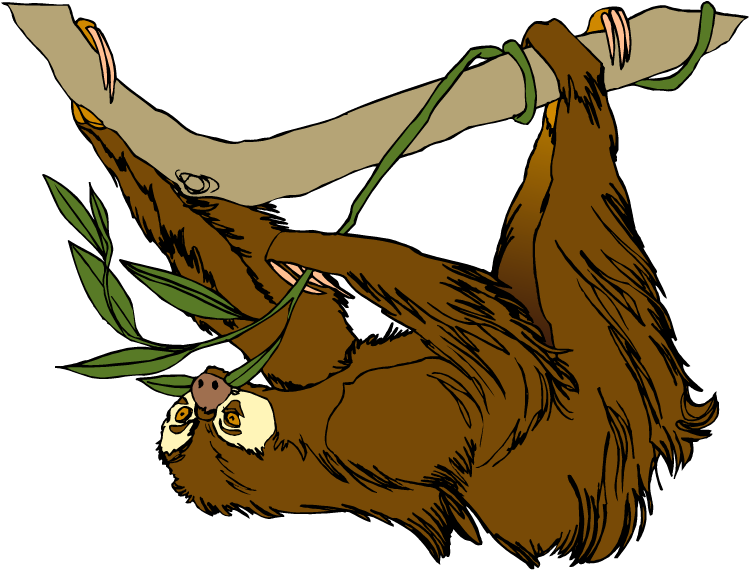 Baby sloth clipart clipartall