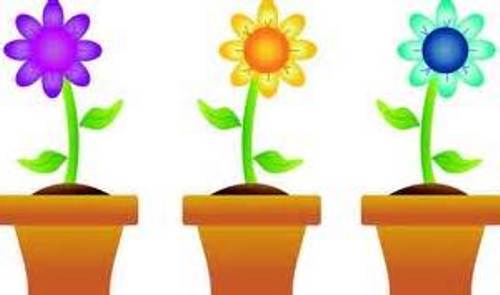 free spring clipart