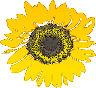 Free Sunflower Clipart