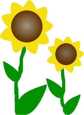 Sunflower clipart web