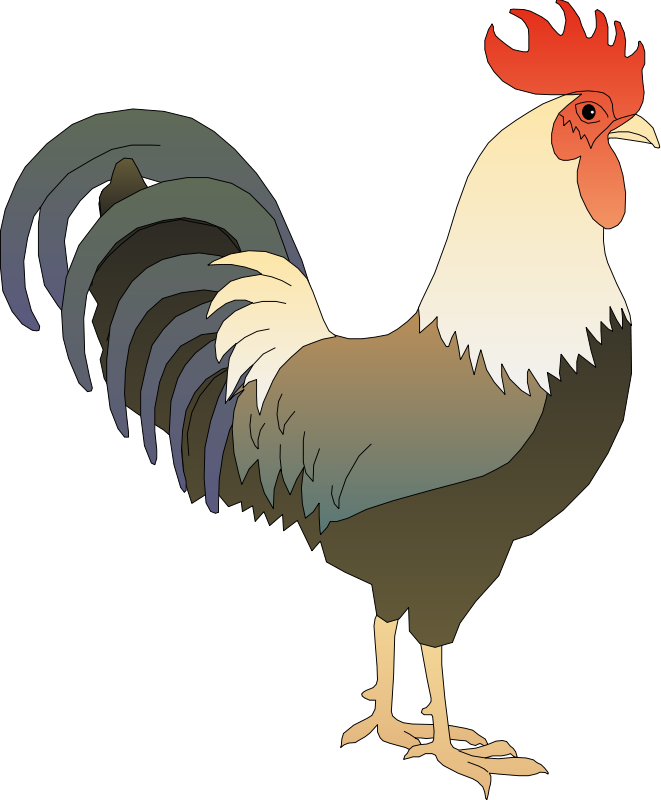Free To Use Amp Public Domain Rooster Clip Art