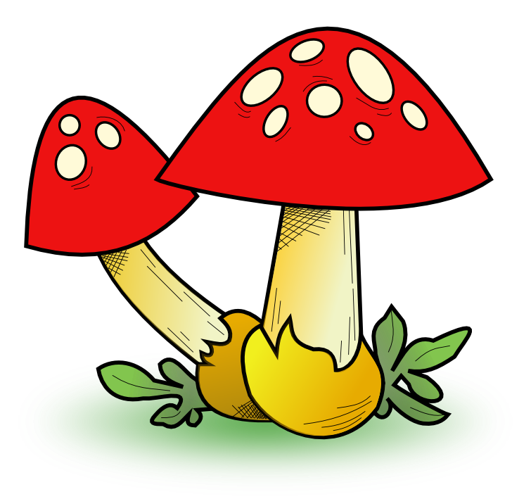 Free to Use Public Domain Mushroom Clip Art