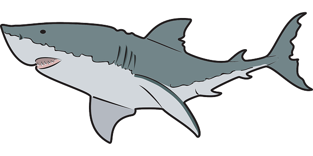 Free to Use Public Domain Sha - Cute Shark Clipart