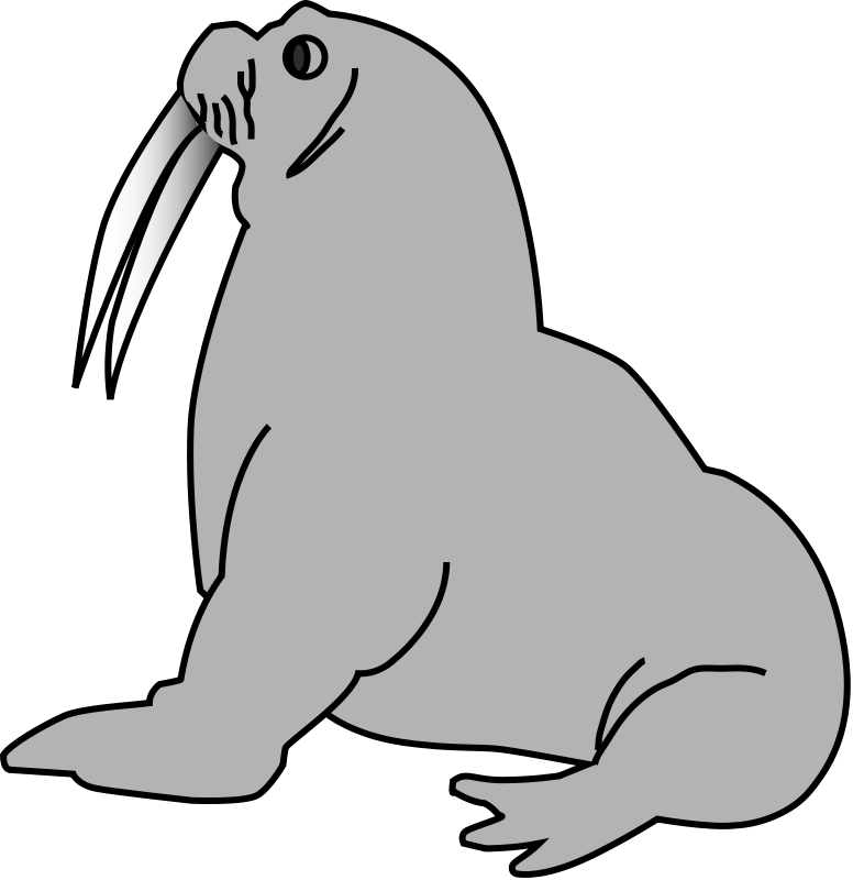 Free walrus clip art a graphi