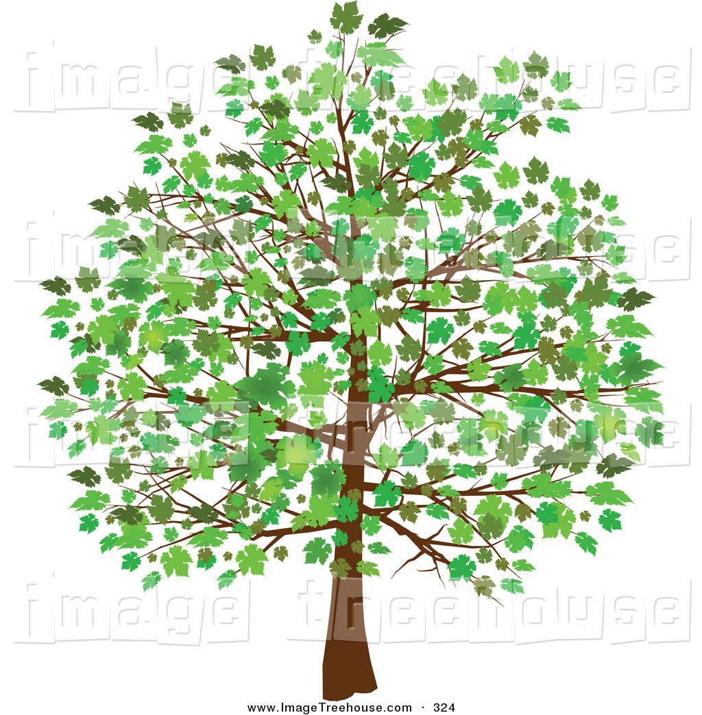 Clipart Tree Royalty Free Vec
