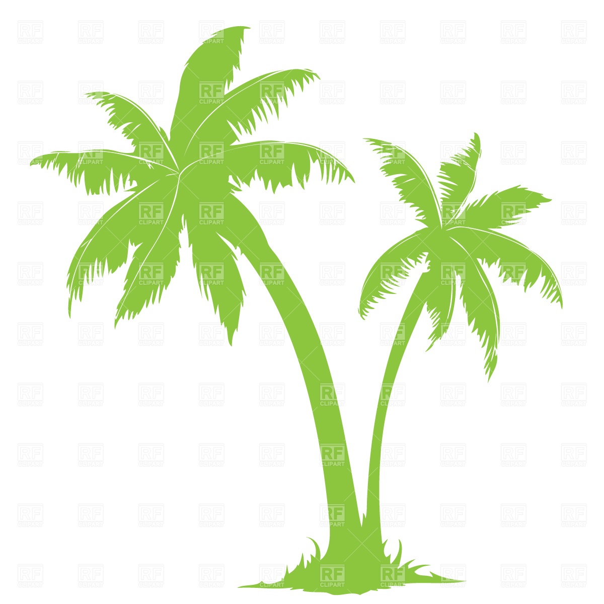 Tropical palm trees clipart f