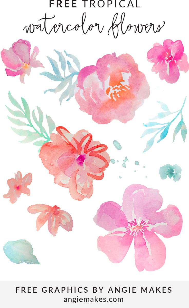 FREE Tropical Watercolor Flower Clip Art Collection. FREE Tropical Floral Clip Art Design Elements |