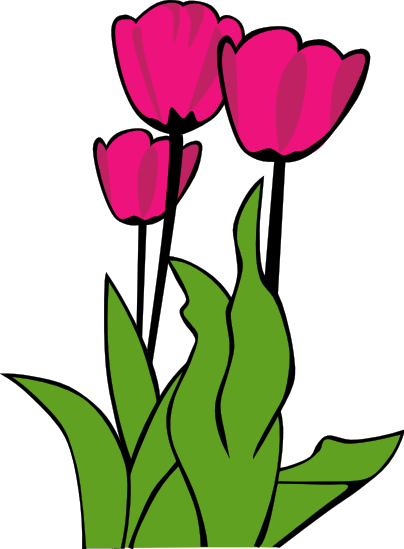 Free Tulip Clipart