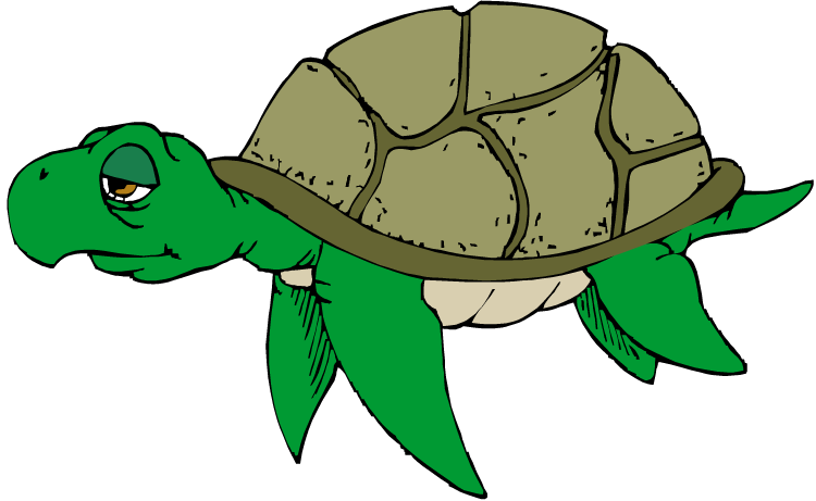 Free turtle clipart 2 - Turtles Clipart