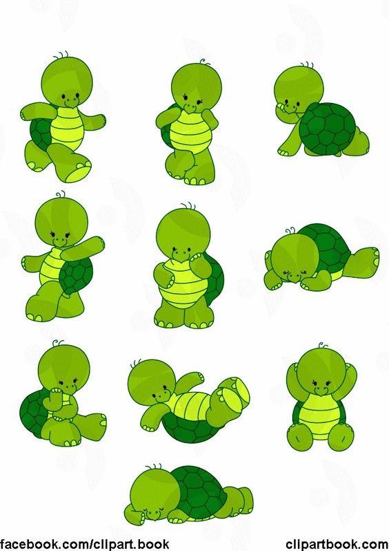 free turtle clipart - Google Search