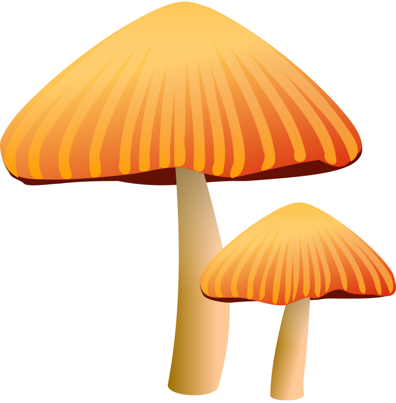 Free Two Orange Mushrooms Clip Art