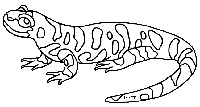 Free United States Clip Art b - Salamander Clipart