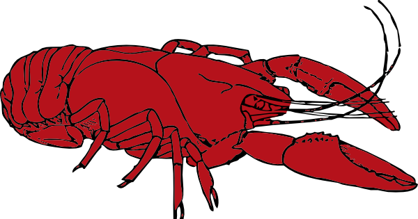 Dead red crayfish Stock Photo