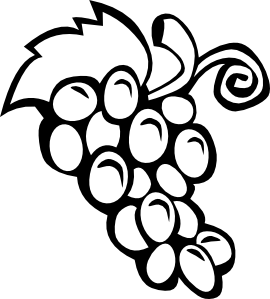 Design element - grapevine ve