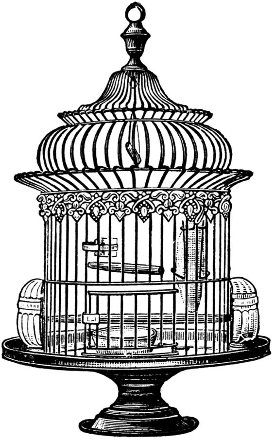 Free Vintage Bird Cage Clip A - Bird Cage Clip Art