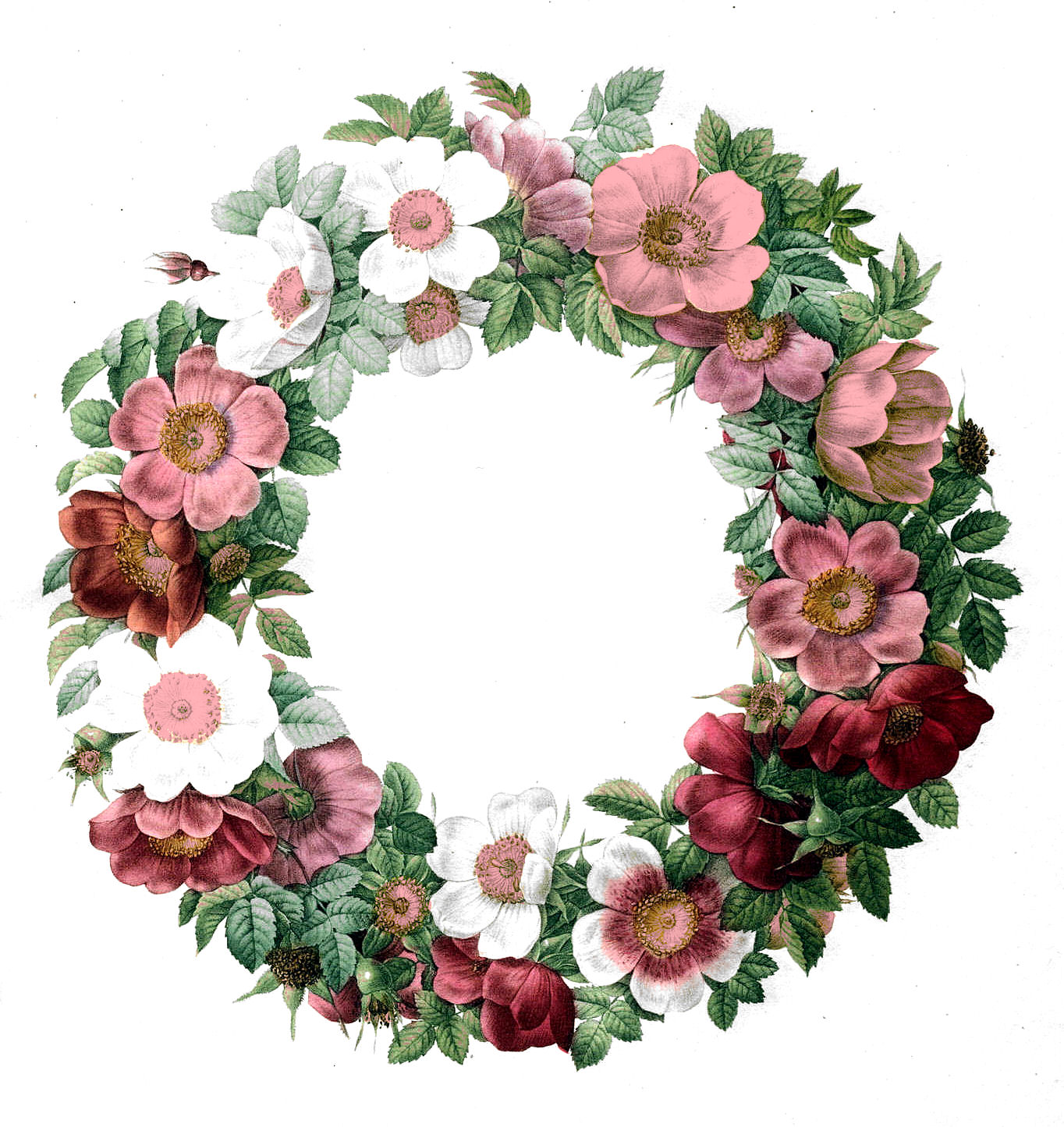 Free Vintage Clip Art u2013 Rose Wreath