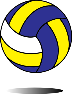 picture of a volleyball black