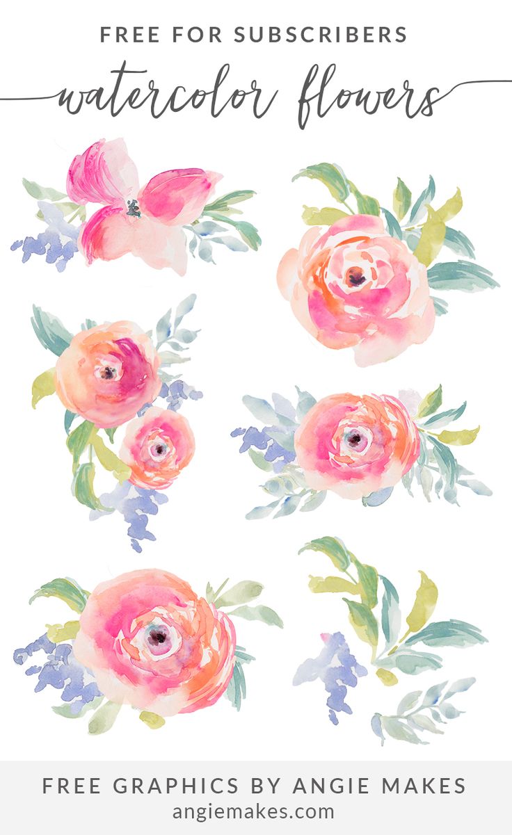 Free Watercolor Flowers Clip Art For Subscribers. Free flower clip art illustration. Watercolor clip