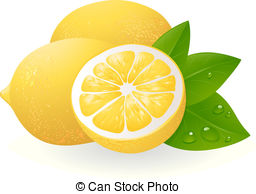 Fresh lemons with leaves. Realistic vector illustration