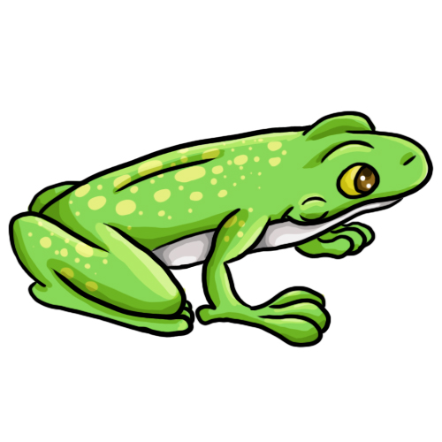 Frog Clip Art 15