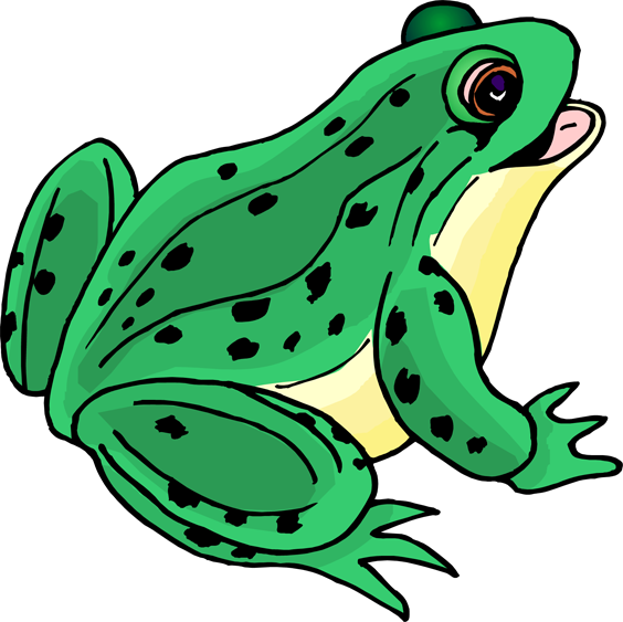 Frog-; Clipart .