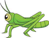 From: Insect Clipart - Grasshopper Clip Art