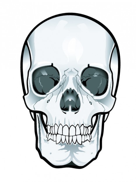 Frontal skull clipart Free Vector