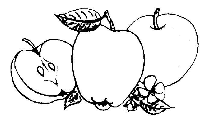 fruit and vegetable clipart black and white