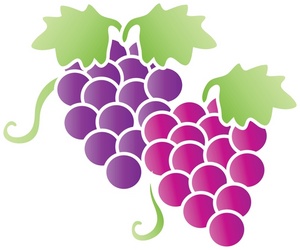 Fruit clipart image grapes image
