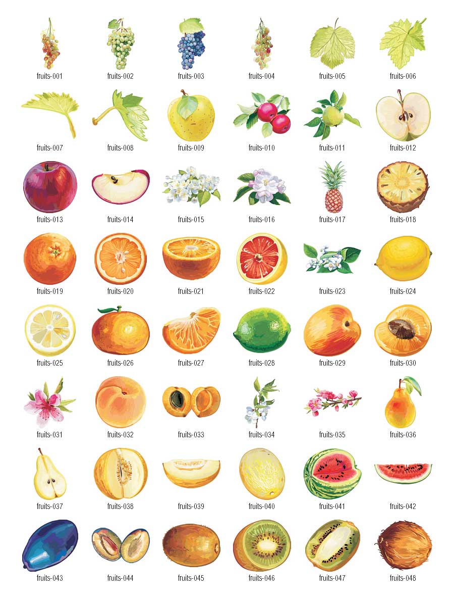 Fruits-vector-clipart-1
