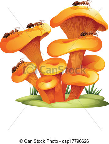 Fungi with ants - csp17796626 - Fungi Clipart